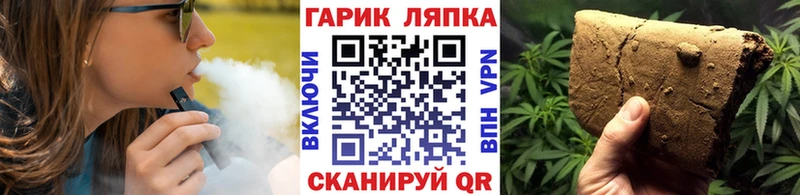 Гашиш Cannabis  Стародуб 
