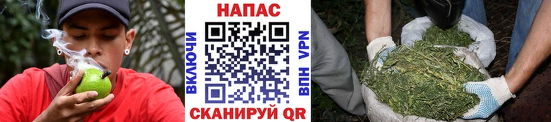 Марихуана конопля купить наркотик ОМГ ОМГ ссылки Стародуб